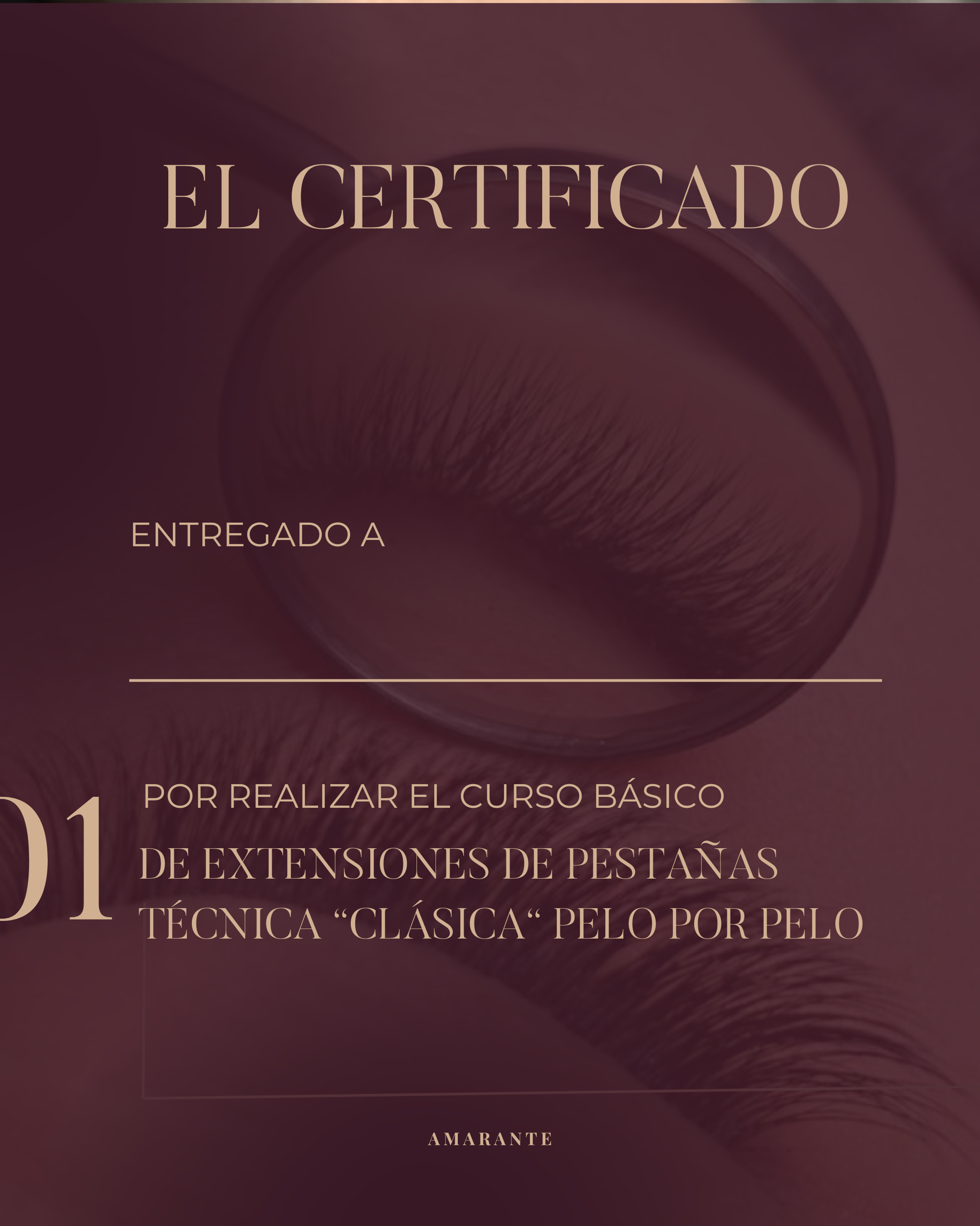 CERTIFICADO 1X1 2025